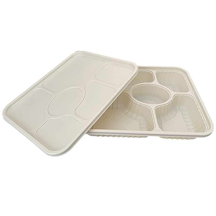 Disposable compartment lunch box