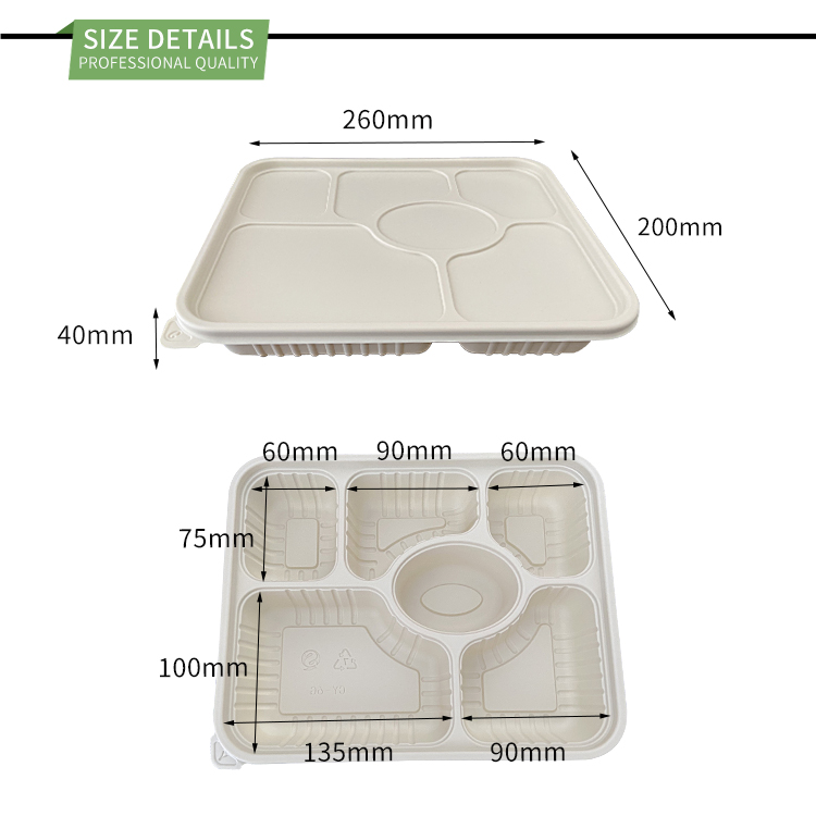 Compartment Lunch container