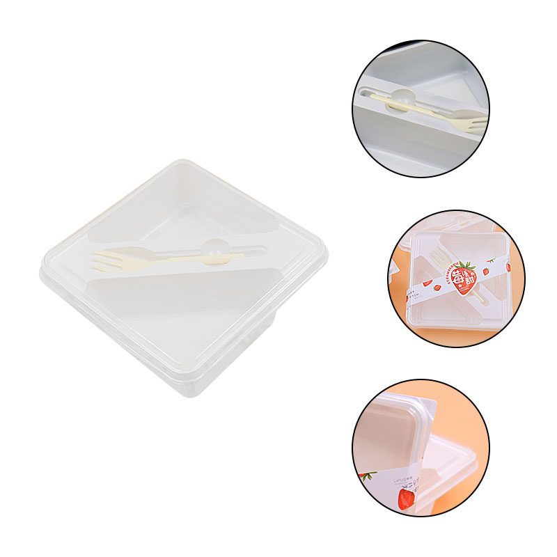 Sandwich Plastic Box with clear lid