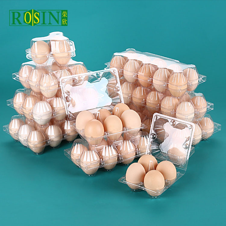 plastic egg tray suppliers