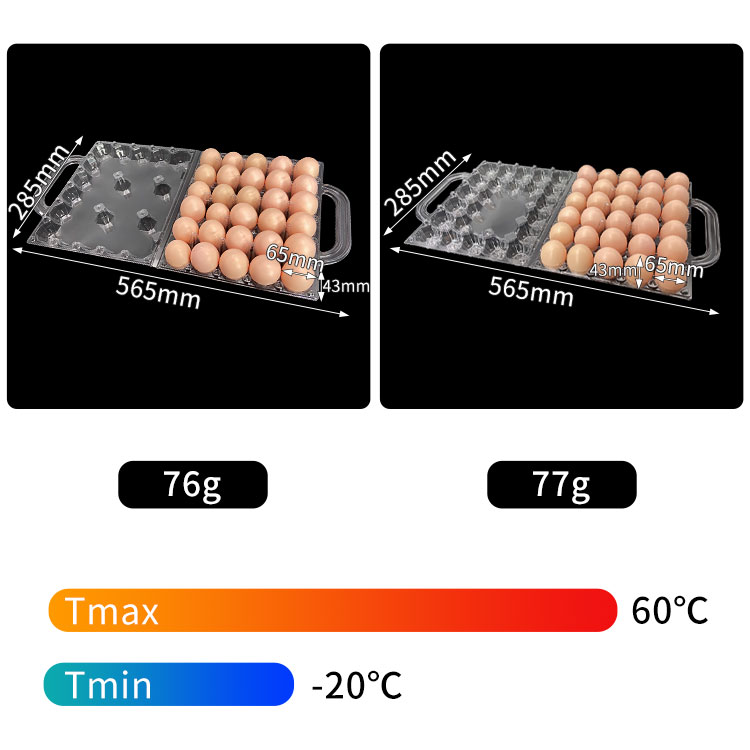 plastic egg container with lid