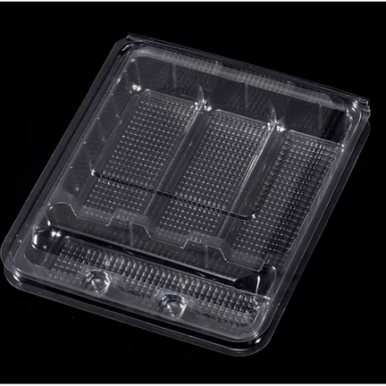 disposable clear plastic container with lid