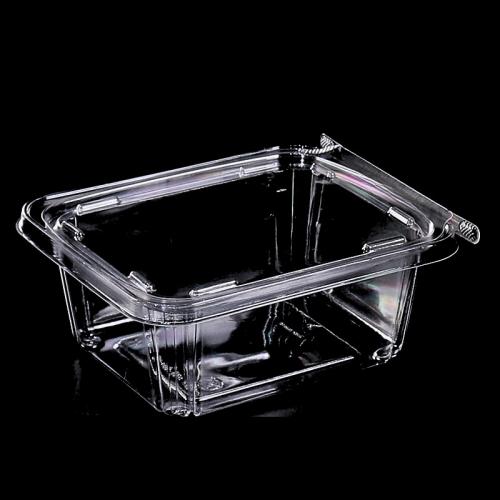 Custom disposable transparent PET Clamshell Nut and Fruit Boxes